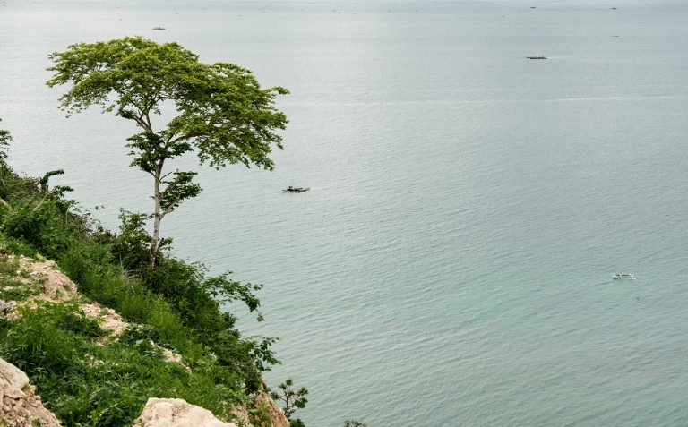 Residences on the hill